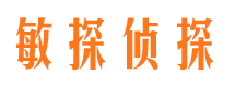 汉寿调查公司